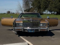 1978 Cadillac Eldorado for sale in Michigan (ID-162959)