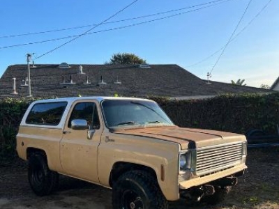 1978 Chevrolet Blazer for sale