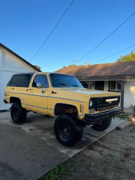 1978 Chevrolet Blazer for sale in Michigan (ID-113008) 1978 Chevrolet Blazer for sale in Michigan (ID-113008)