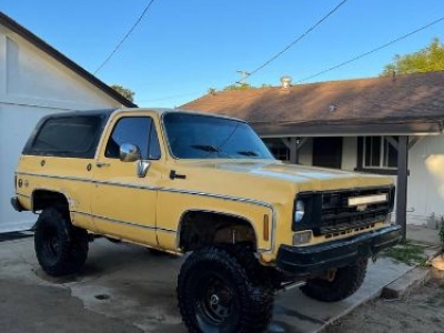 1978 Chevrolet Blazer for sale