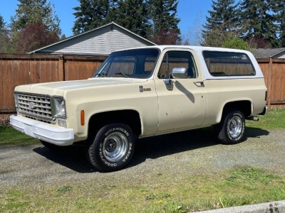 1978 Chevrolet Blazer for sale