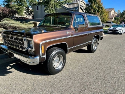 1978 Chevrolet Blazer for sale in Michigan