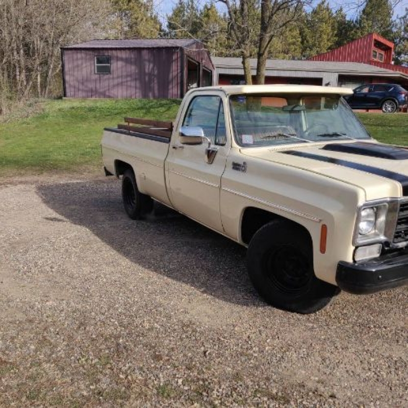 1978 Chevrolet C10 for sale in Michigan (ID-97601) 1978 Chevrolet C10 for sale in Michigan (ID-97601)