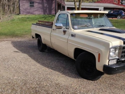 1978 Chevrolet C10 for sale 1978 Chevrolet C10 for sale