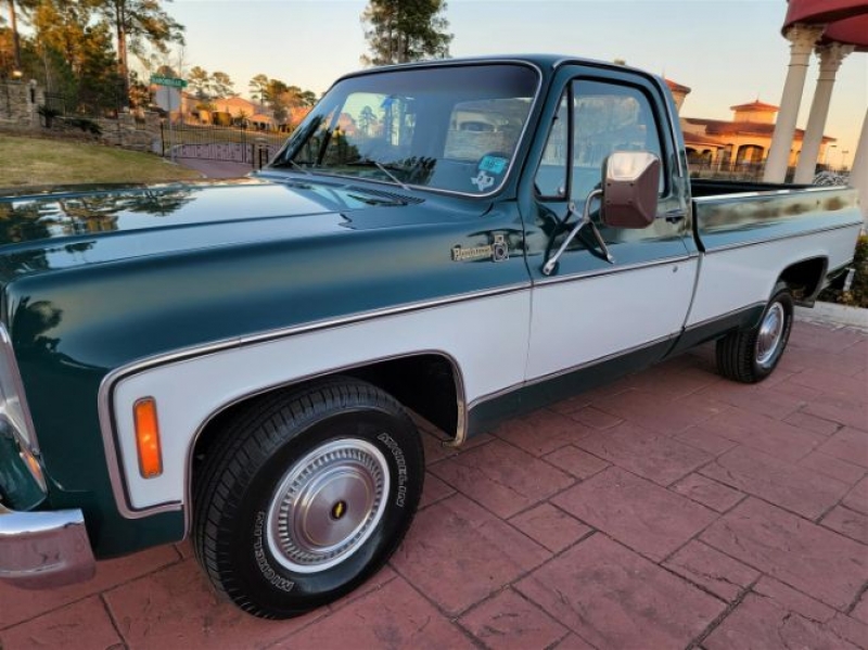 1978 Chevrolet C10 for sale (ID-100504)