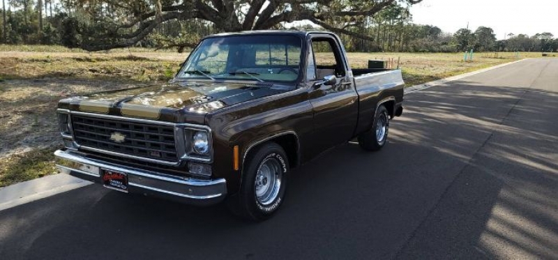 1978 Chevrolet C10 for sale in Michigan (ID-111899)