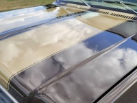 1978 Chevrolet C10 for sale in Michigan (ID-111899)