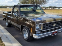 1978 Chevrolet C10 for sale in Michigan (ID-111899)