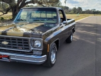 1978 Chevrolet C10 for sale in Michigan (ID-111899)