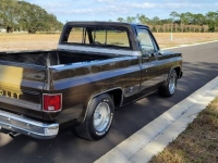 1978 Chevrolet C10 for sale in Michigan (ID-111899)