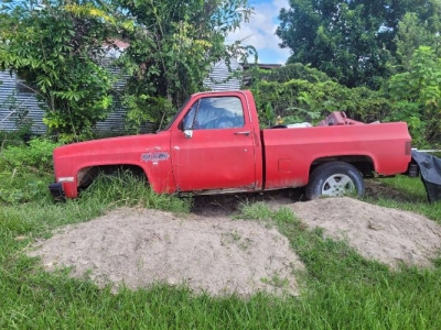 1978 Chevrolet C10 for sale