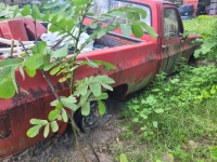1978 Chevrolet C10 for sale in Michigan (ID-119857)
