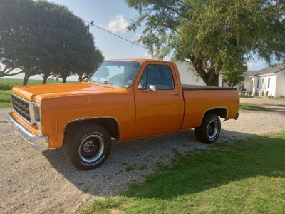 1978 Chevrolet C10 for sale