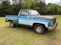 1978 Chevrolet C10 for sale in Michigan (ID-163254)