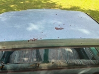1978 Chevrolet C10 for sale in Michigan (ID-164611)