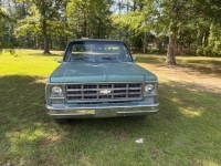 1978 Chevrolet C10 for sale in Michigan (ID-164611)