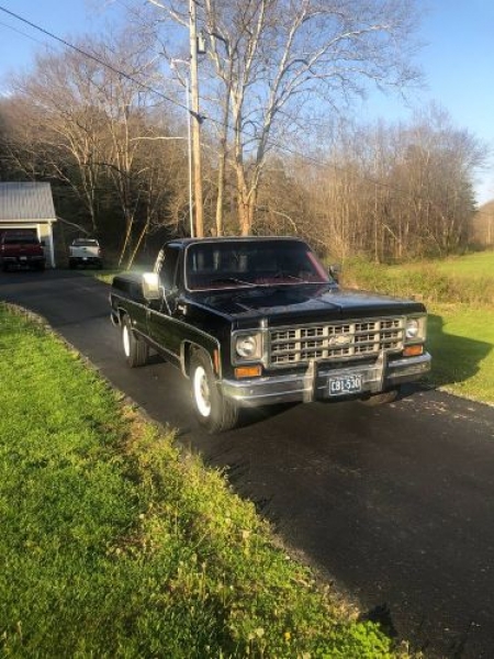 1978 Chevrolet C20 for sale in Michigan (ID-97722) 1978 Chevrolet C20 for sale in Michigan (ID-97722)