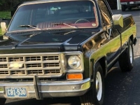 1978 Chevrolet C20 for sale in Michigan (ID-97722)