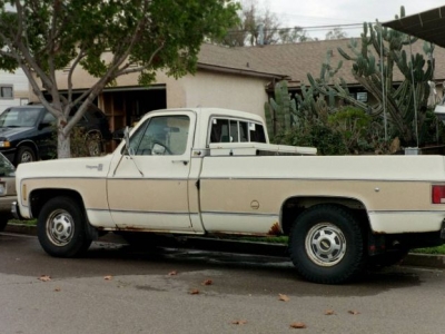 1978 Chevrolet C20 for sale