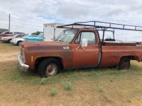1978 Chevrolet C20 for sale in Michigan (ID-103733)