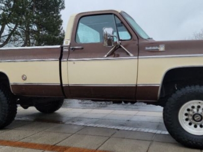 1978 Chevrolet C20 for sale