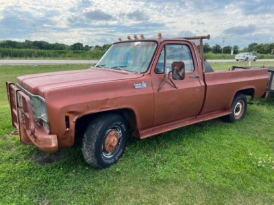 1978 Chevrolet C20 for sale