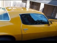 1978 Chevrolet Camaro for sale in Michigan (ID-114100)