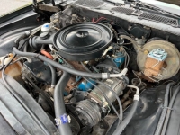 1978 Chevrolet Camaro for sale in Michigan (ID-116537)