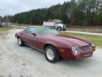 1978 Chevrolet Camaro for sale in Michigan (ID-126826)