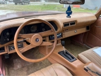 1978 Chevrolet Camaro for sale in Michigan (ID-126826)