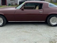 1978 Chevrolet Camaro for sale in Michigan (ID-126826)