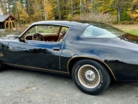 1978 Chevrolet Camaro for sale in Michigan (ID-128164)