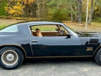 1978 Chevrolet Camaro for sale in Michigan (ID-128164)