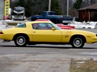 1978 Chevrolet Camaro for sale in Michigan (ID-136138)