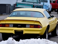 1978 Chevrolet Camaro for sale in Michigan (ID-136138)