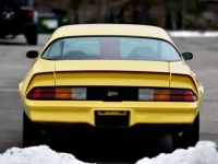 1978 Chevrolet Camaro for sale in Michigan (ID-136138)