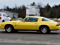 1978 Chevrolet Camaro for sale in Michigan (ID-136138)