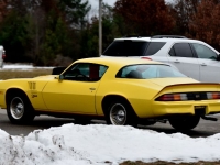 1978 Chevrolet Camaro for sale in Michigan (ID-136138)