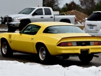 1978 Chevrolet Camaro for sale in Michigan (ID-136138)