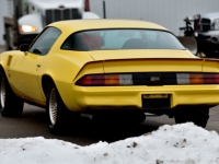 1978 Chevrolet Camaro for sale in Michigan (ID-136138)