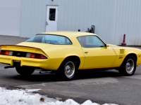 1978 Chevrolet Camaro for sale in Michigan (ID-136138)
