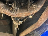 1978 Chevrolet Camaro for sale in Michigan (ID-156074)