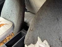 1978 Chevrolet Camaro for sale in Michigan (ID-156074)