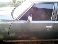 1978 Chevrolet Caprice Classic for sale in Michigan (ID-135448)