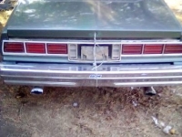 1978 Chevrolet Caprice Classic for sale in Michigan (ID-135448)