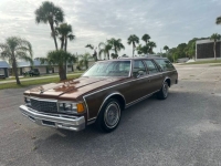 1978 Chevrolet Caprice Classic for sale in Michigan (ID-142476)