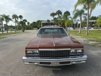 1978 Chevrolet Caprice Classic for sale in Michigan (ID-142476)