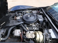 1978 Chevrolet Corvette for sale in Michigan (ID-94175)
