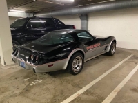 1978 Chevrolet Corvette for sale in Michigan (ID-96053)