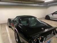 1978 Chevrolet Corvette for sale in Michigan (ID-96053)